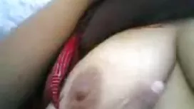 Pau equitação de Casey Calvert Stockinged