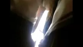 Japonesa Cutie Chupando Dick 69, Andorinhas