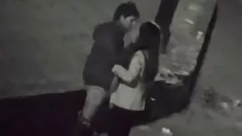 Kitty chupando pau e andorinhas